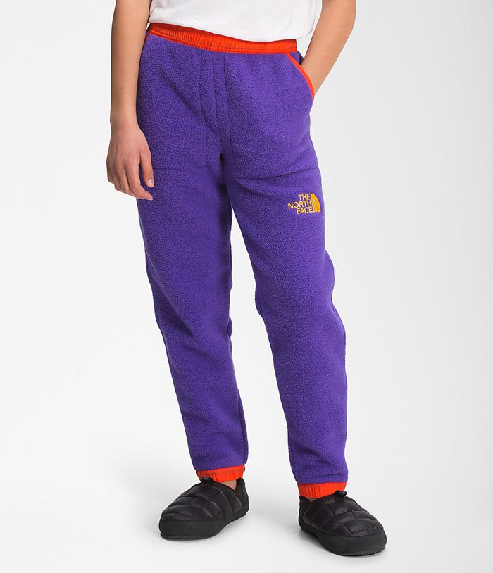 Bottoms The North Face Niña Moradas Juventud Unisex Colorblock De Lana Pantalones 54987NMSR